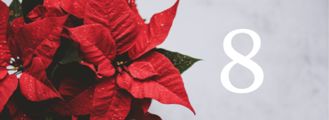 Vorwerk Adventskalender: Tag 8