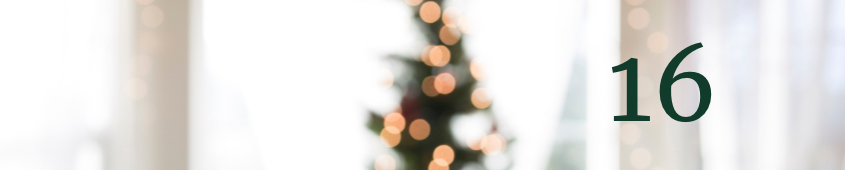 Vorwerk Adventskalender: Tag 16