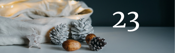 Vorwerk Adventskalender: Tag 23