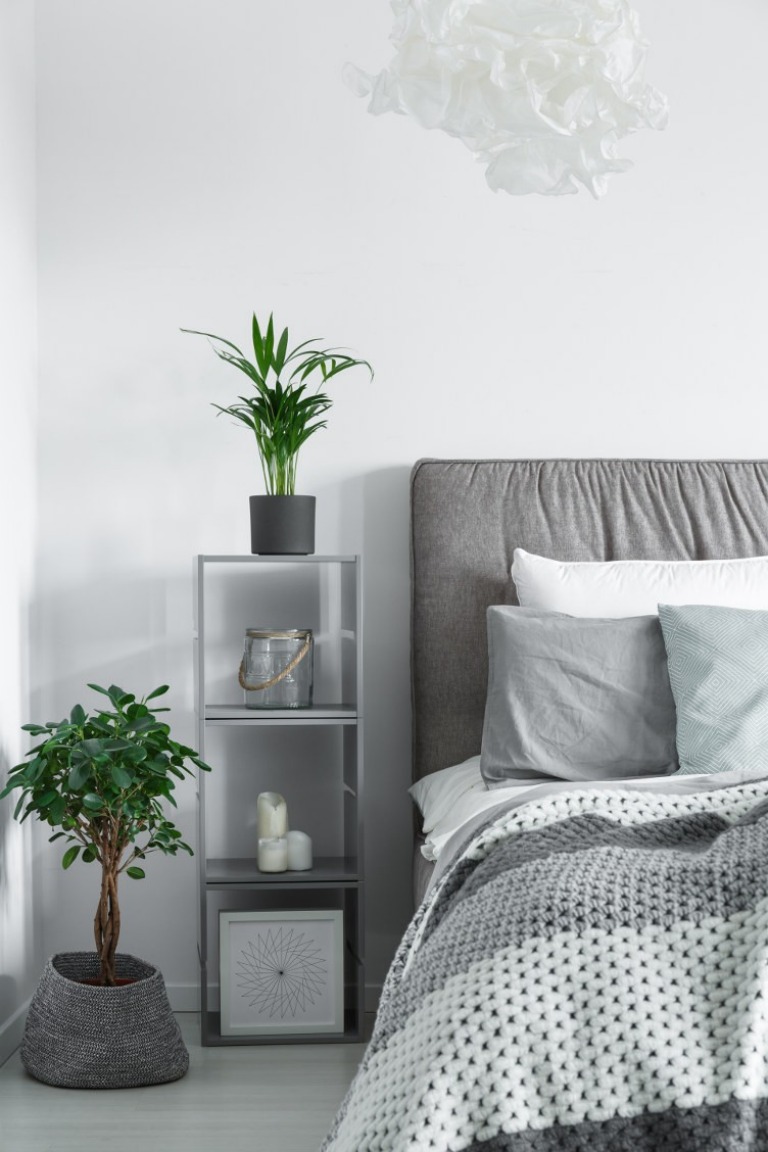 Die richtigen Pflanzen für das Schlafzimmer