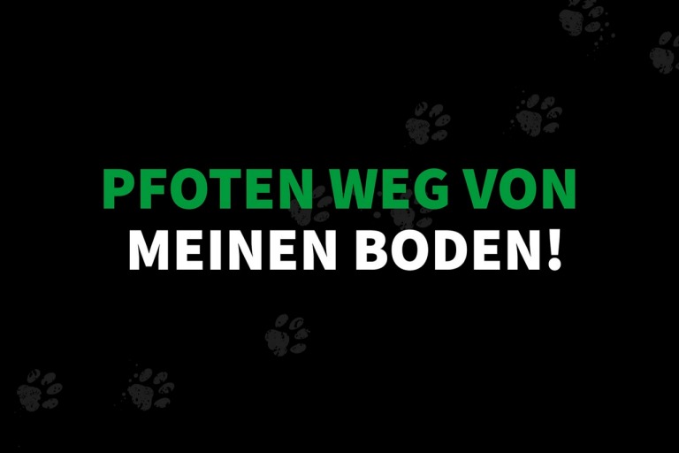 Von feinen Härchen bis zum Fellknäuel - Tierhaare vom Fußboden entfernen