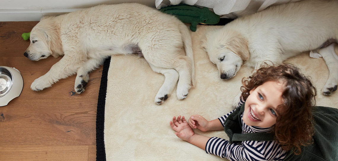 Animali Domestici e Allergie: Come Fare | Folletto